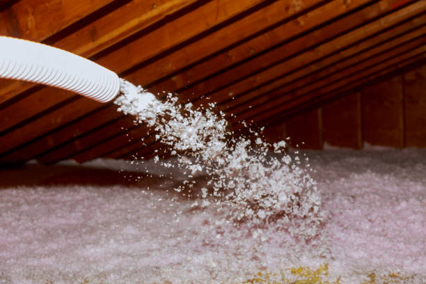 Types of Insulation We Offer in Leo Cedarville, IN
