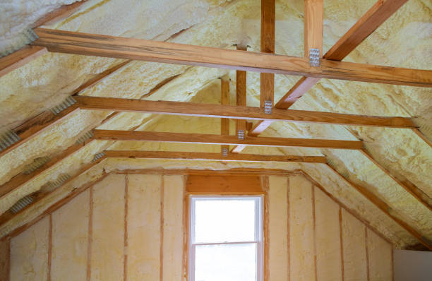 Best Specialized Insulation Services in Leo Cedarville, IN