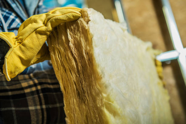 Best Fiberglass Insulation in Leo Cedarville, IN
